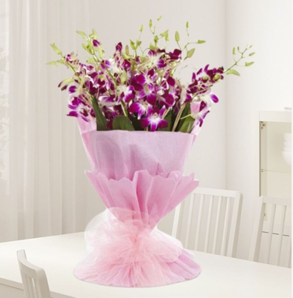 6 Purple Orchids