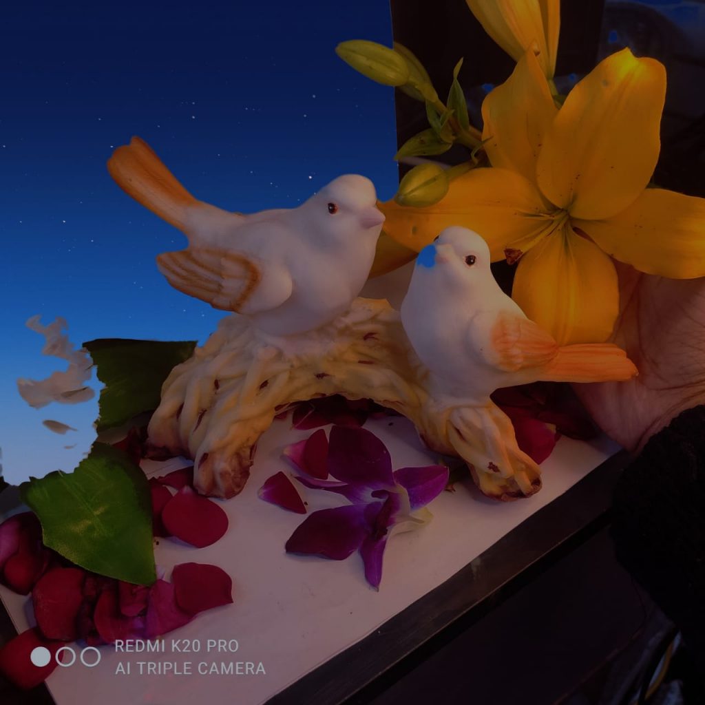 LOVE BIRDS