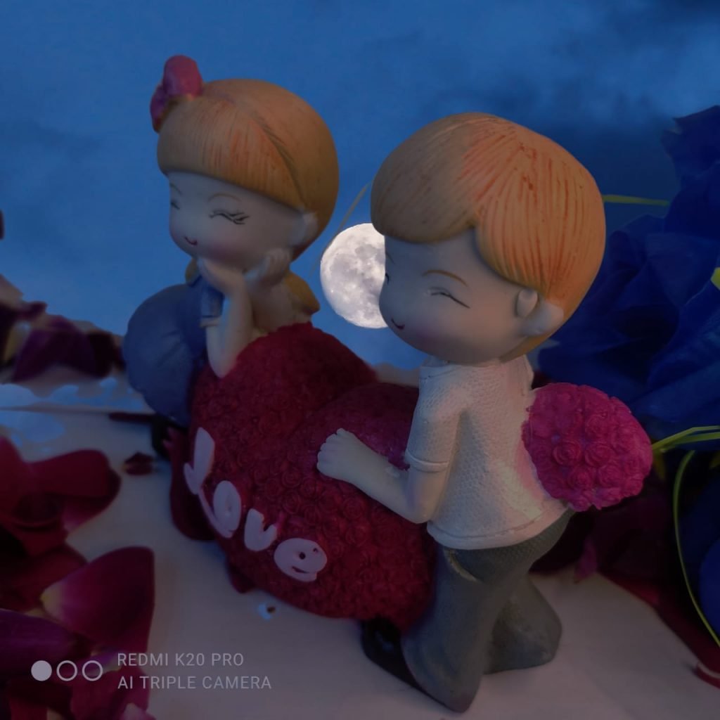 LOVE COUPLE