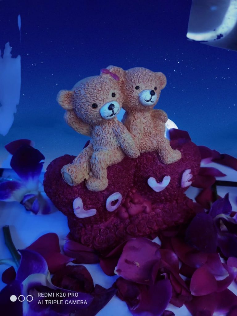TEDDY COUPLE IN POLYRASE
