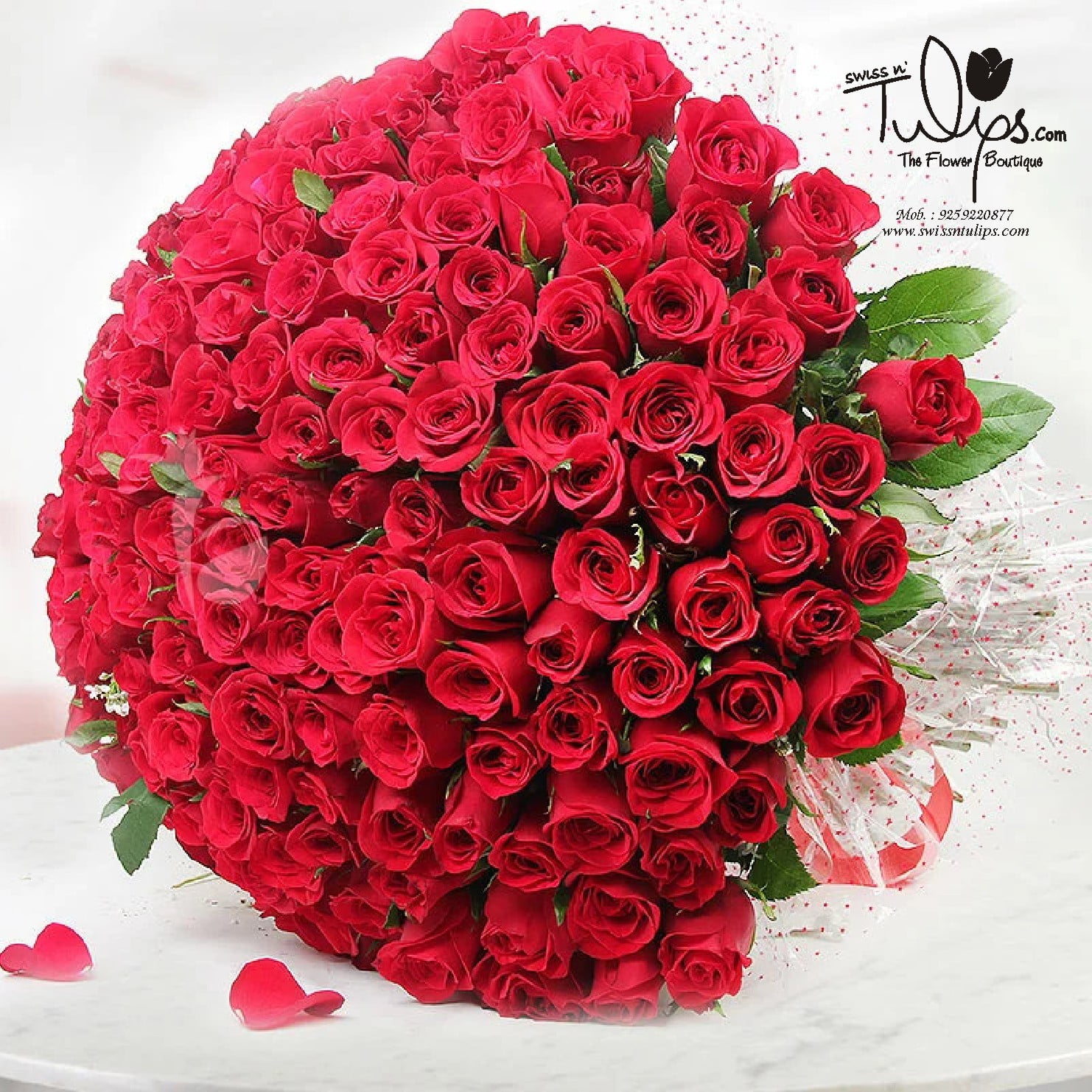 Flower-63 Flower 63