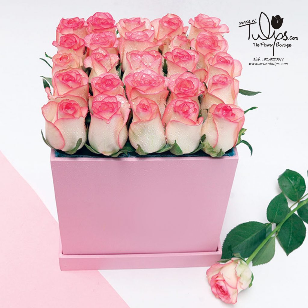 Flower 253
