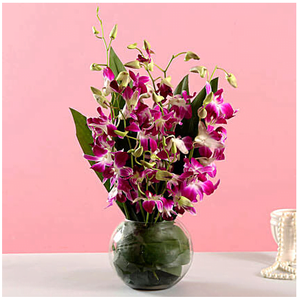 Gorgeous Purple Orchid Bunch 1 Untitled31