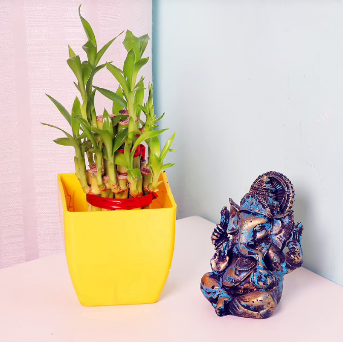 2 Layer Bamboo Plant With Ganesha 549 Ganesha || Ganesh ji