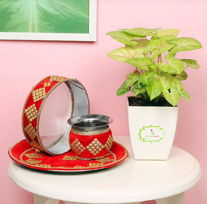 Karwa Thali N Syngonium Plant Karwa Thali N Syngonium Plant