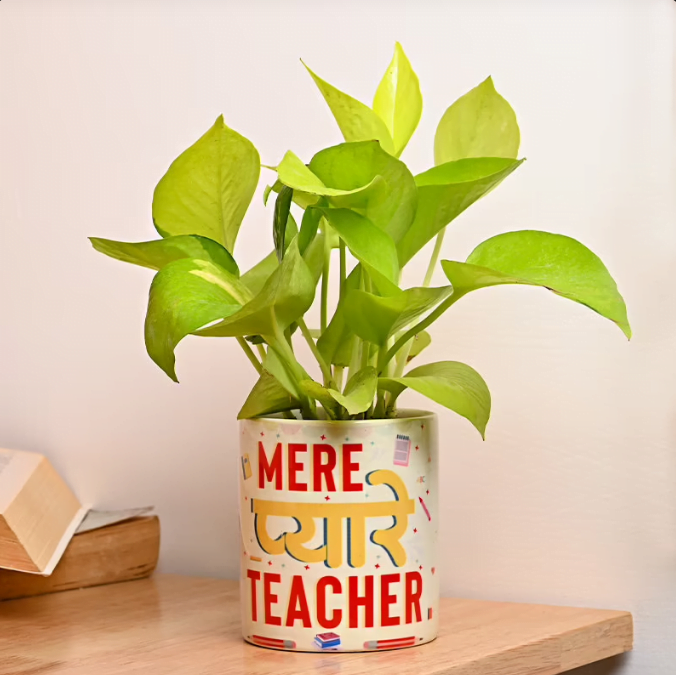 Pyaare Teacher Money Plant Untitledq16