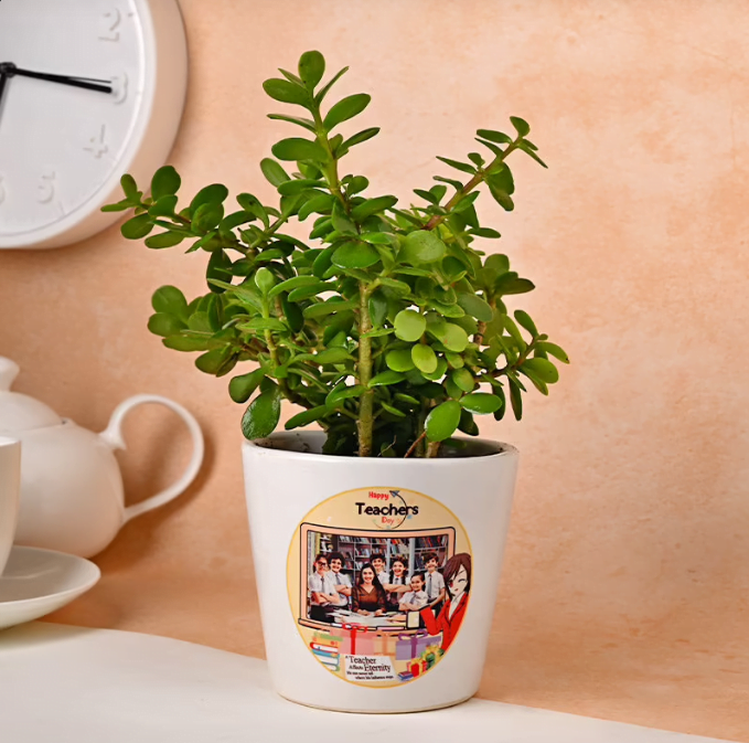 Teachers Day Jade Plant Untitledq19
