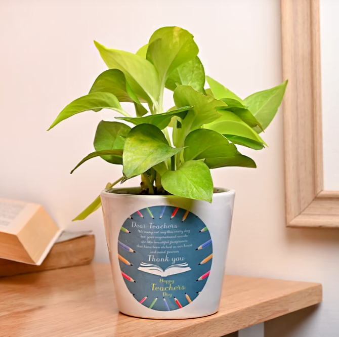 Teachers Day Money Plant Untitledq20
