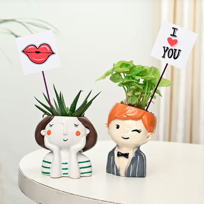 Syngonium Boy Haworthia Girl Untitledr35