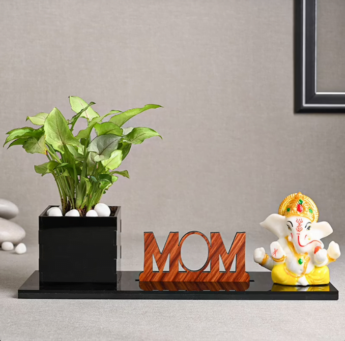 Ganesha Syngonium Plant Set Untitledr56