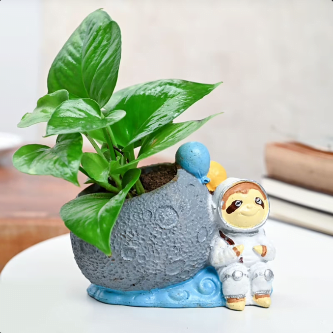Astronaut Money Plant Untitledr62