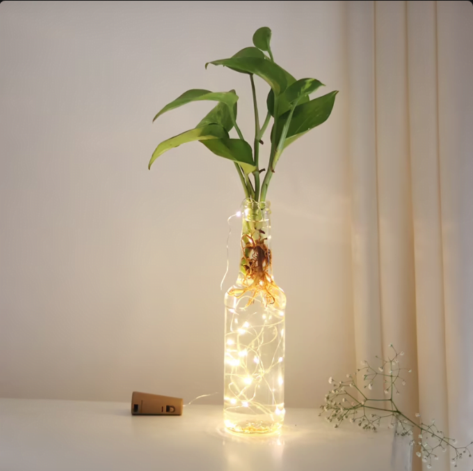Money Plant Led Bottle Untitledr64