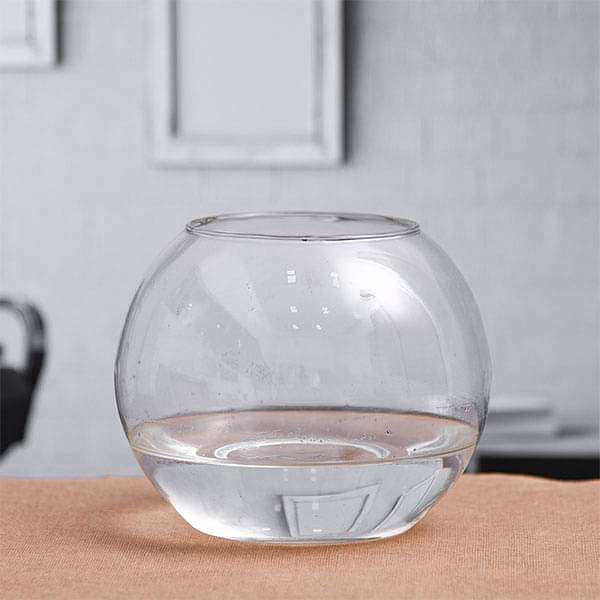 Round Terrarium Glass Vase without Rim (4.5 Inch (11.4 cm) Ht.) 4 inch (10 cm) pot12