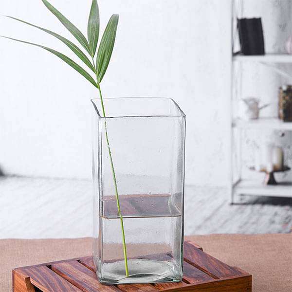 4 inch (10 cm) Square glass vase (8 inch (20 cm) ht) pot8